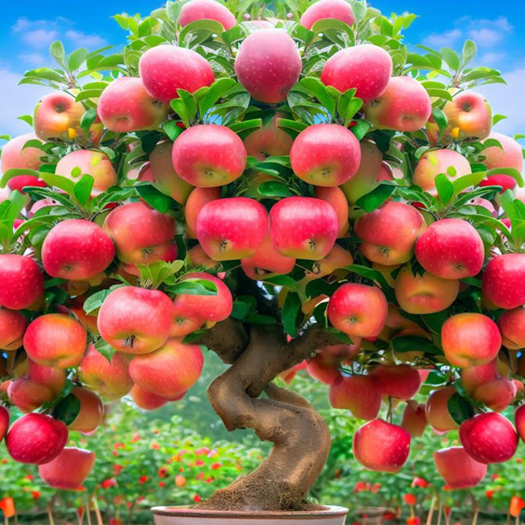How to Grow an Apple Tree from an Apple at Home 🍎 – Step-by-Step Guide