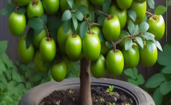 New Jujube Grafting Secrets to Boost Your Harvest #farming #gardening