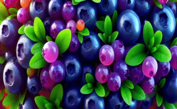 Easy and Fast Method: How to Grow and Propagate Blueberry Fruit Trees