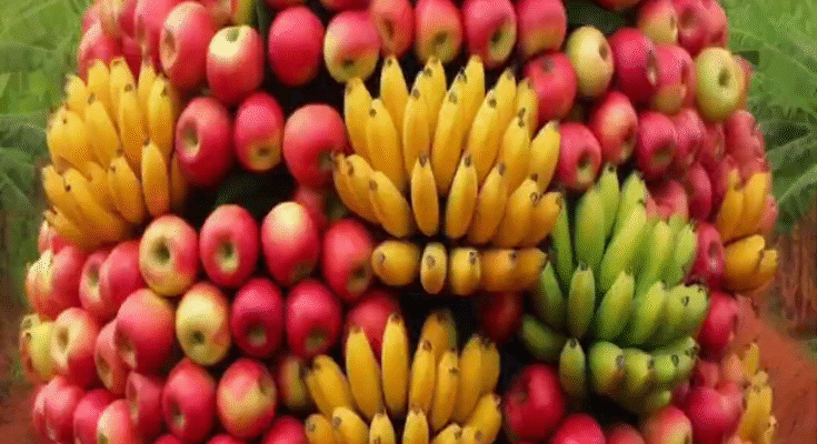 Breeding banana with Apple to create Amazing fruit on Banana Tree #shorts