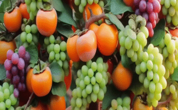 Simple method for grafting Persimmon with Grapes Using Coca Cola & egg…