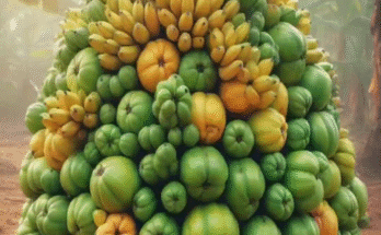 How To Grow Banana In Guava For Families With A Garden, Got a Great Fruit