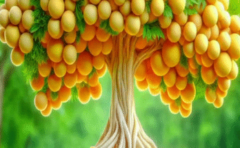 Easy and Fast Method for Growing and Planting Longan Fruit Trees Using Stem GraftsEasy and Fast Method for Growing and Planting Longan Fruit Trees Using Stem Grafts