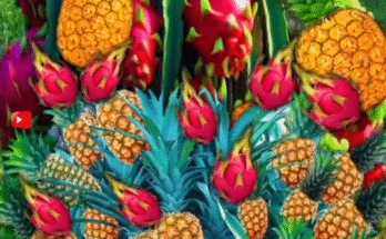 new method for planting and growing hybrid dragon fruit trees with pineapples.#shorts