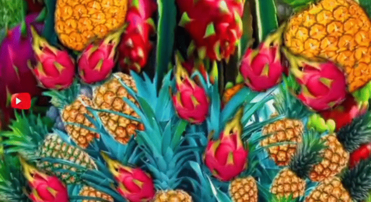 new method for planting and growing hybrid dragon fruit trees with pineapples.#shorts