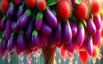 Quick & easy technique for planting and growing hybrid fruit trees of rambutan and eggplant