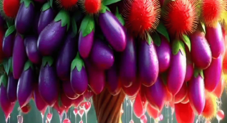 Quick & easy technique for planting and growing hybrid fruit trees of rambutan and eggplant