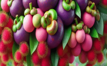 method of growing and planting hybrid mangosteen fruit trees with rambutan fruit.