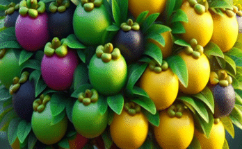 Easy and new techniques for growing and planting hybrid fruit trees of mangosteen and guava #garden
