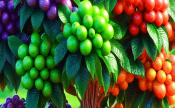 easy and fast method how to grow and propagate coffee fruit trees #garden #plants