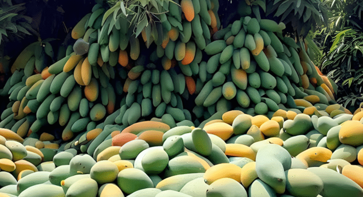 Great Way to Grow Mangoes Tree in Papaya Fruit Get the Fastest Fruit in a Short Time